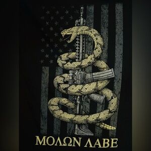 Come and Take Them - 2nd amendment tee